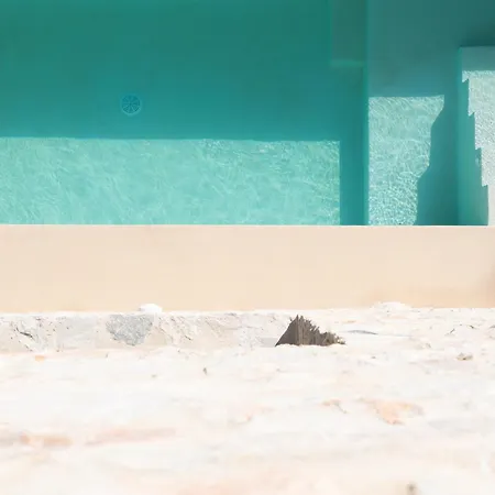 Triotissa Private Pool Bbq 50m From Beach Apartment